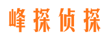 从江市婚外情调查